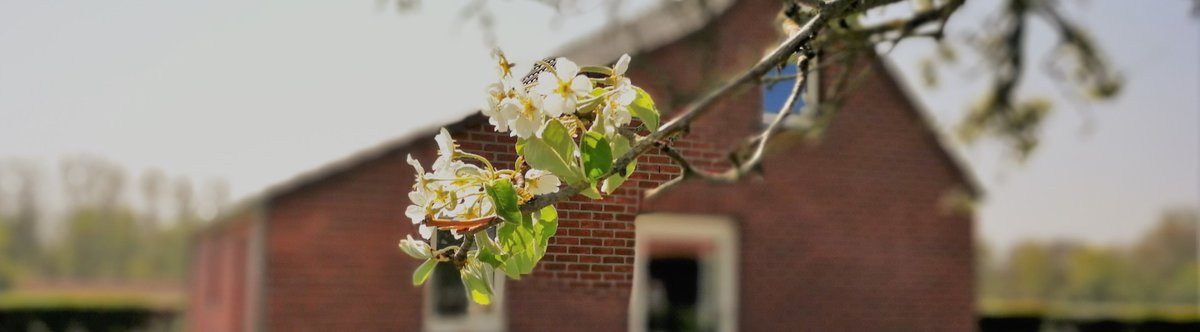 Vakantiehuisje in 't groen - Over ons