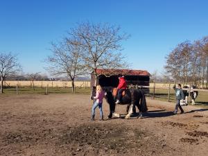 't Veldzicht - Vakantiehuisje in 't Groen