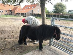 't Veldzicht - Vakantiehuisje in 't Groen